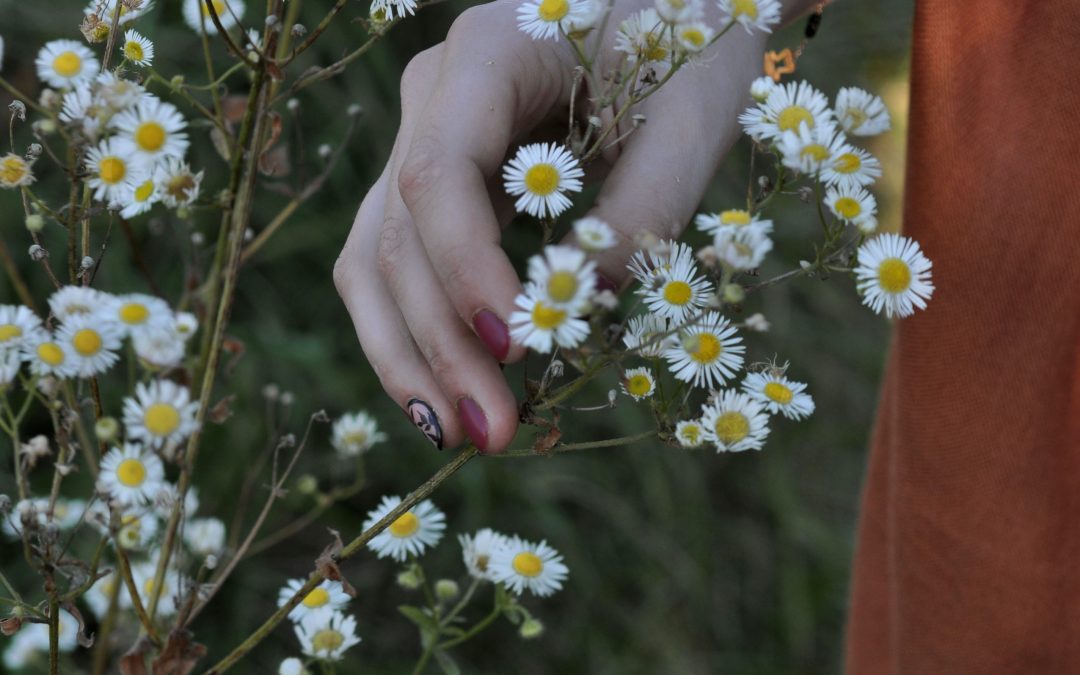 Tender Emotions can be Warning Signals when Viewing from the Eyes of Courage